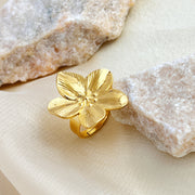 Polished Abstract Stacking Rings